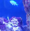 [TodoMarino.com] eheim 35L