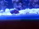[TodoMarino.com] eheim 35L