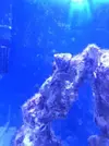 [TodoMarino.com] eheim 35L