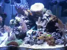 [TodoMarino.com] Nuevo proyecto: pantalla LED Blau 91L