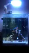 [TodoMarino.com] Sump para acuario de 30 L