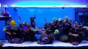 [TodoMarino.com] Mi primer marino 240L..