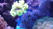 [TodoMarino.com] Mi primer marino 240L..