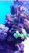 [TodoMarino.com] Mi primer marino 240L..