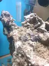 [TodoMarino.com] Iniciando un cubo de 60l