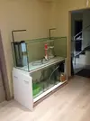[TodoMarino.com] Relles Reef !  560L