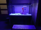 [TodoMarino.com] Relles Reef !  560L