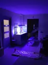 [TodoMarino.com] Relles Reef !  560L