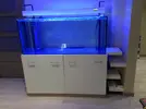 [TodoMarino.com] Relles Reef !  560L