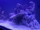 [TodoMarino.com] Relles Reef !  560L
