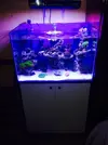 [TodoMarino.com] Pandora reef