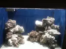 [TodoMarino.com] mi acuario de 250 l mas sump inox 100 litros netos