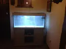 [TodoMarino.com] Mi primer acuario