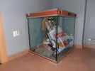 [TodoMarino.com] primer proyecto acuario marino Francesco 67x57x65