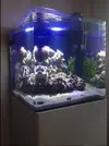 [TodoMarino.com] Musical Movement reef
