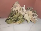 [TodoMarino.com] primer proyecto acuario marino Francesco 67x57x65