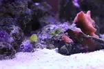 [TodoMarino.com] Signature 130l