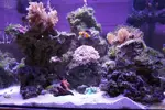 [TodoMarino.com] Signature 130l