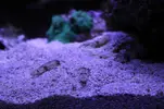 [TodoMarino.com] Signature 130l