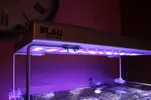 [TodoMarino.com] Signature 130l