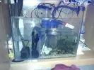 [TodoMarino.com] DrewsYeah! Reef..... 240+70L