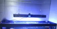 [TodoMarino.com] DrewsYeah! Reef..... 240+70L