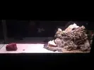 [TodoMarino.com] DrewsYeah! Reef..... 240+70L