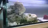 [TodoMarino.com] DrewsYeah! Reef..... 240+70L