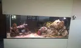 [TodoMarino.com] DrewsYeah! Reef..... 240+70L