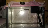 [TodoMarino.com] DrewsYeah! Reef..... 240+70L