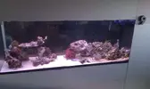 [TodoMarino.com] DrewsYeah! Reef..... 240+70L