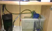 [TodoMarino.com] DrewsYeah! Reef..... 240+70L