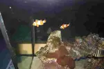 [TodoMarino.com] DrewsYeah! Reef..... 240+70L
