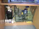 [TodoMarino.com] DrewsYeah! Reef..... 240+70L