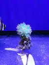[TodoMarino.com] Reef Island 480L