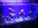 [TodoMarino.com] Reef Island 480L