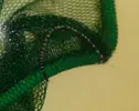 [TodoMarino.com] identificar inquilino
