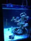 [TodoMarino.com] Blanco´s Reef