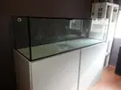 [TodoMarino.com] Por fin empieza mi acuario de 600l.