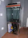 [TodoMarino.com] primer proyecto acuario marino Francesco 67x57x65