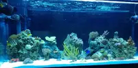 [TodoMarino.com] 120 litros...3 meses