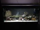 [TodoMarino.com] Mi primer acuario