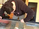 [TodoMarino.com] Cambio de cristal, nueva mesa, nuevo sump y urna de relleno.