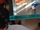 [TodoMarino.com] Cambio de cristal, nueva mesa, nuevo sump y urna de relleno.