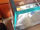 [TodoMarino.com] Cambio de cristal, nueva mesa, nuevo sump y urna de relleno.