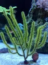 [TodoMarino.com] 120 litros...3 meses