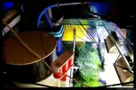 [TodoMarino.com] Acuario TodoMarino del 2º Trimestre de 2012