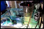 [TodoMarino.com] Acuario TodoMarino del 2º Trimestre de 2012