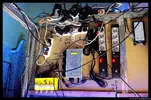 [TodoMarino.com] Acuario TodoMarino del 2º Trimestre de 2012