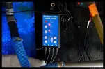[TodoMarino.com] Acuario TodoMarino del 2º Trimestre de 2012